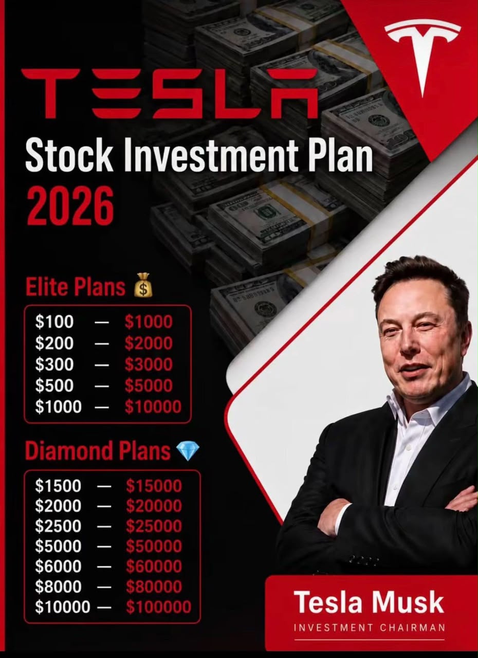 Tesla Investment Plan